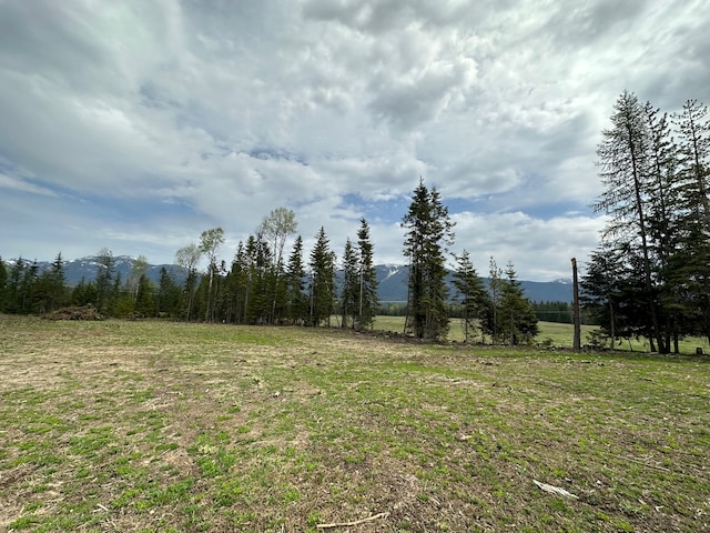 NHN Creek View Lane, Heron MT, 59844 land for sale