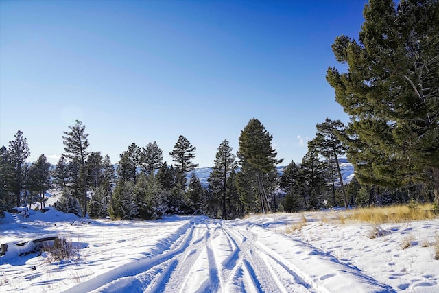 Listing photo 3 for LOT48 Nursery Way, Boulder MT 59632