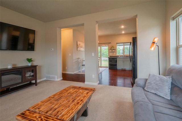 carpeted living room featuring sink