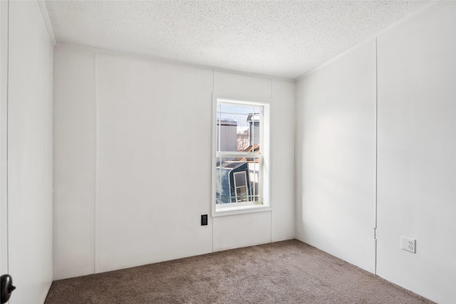 carpeted empty room with plenty of natural light and a textured ceiling