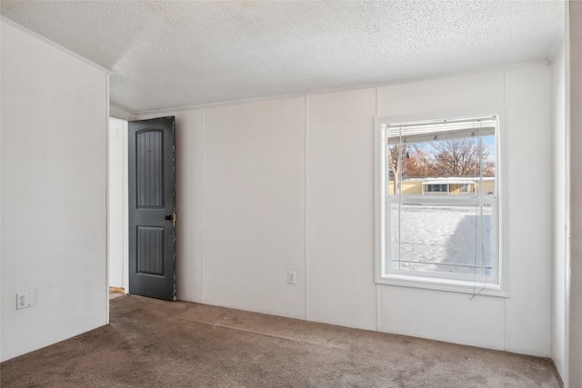 spare room featuring carpet flooring and a textured ceiling