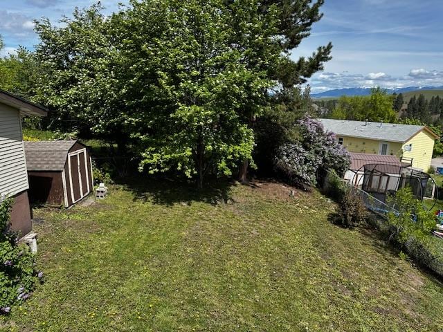 137 Cascade St, Lolo, MT 59847 - view of green lawn with a storage unit, an outdoor structure, and a mountain view