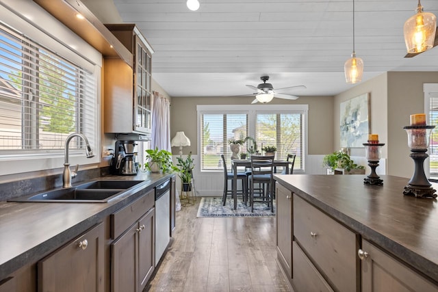 kitchen featuring pendant lighting, sink, a wealth of natural light, and stainless steel dishwasher