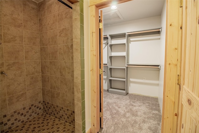 bathroom with a stall shower