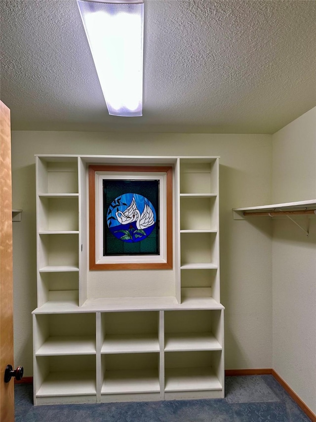 spacious closet featuring carpet flooring