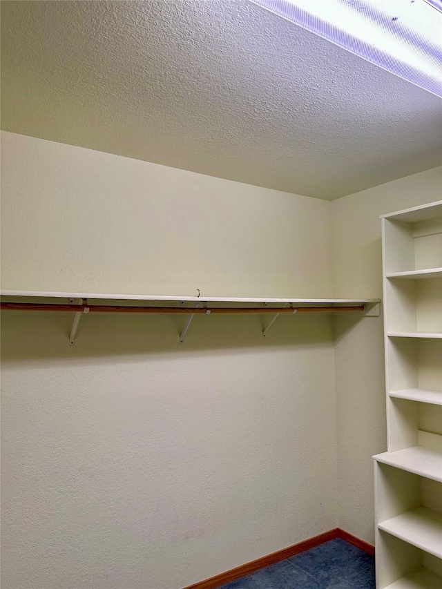 spacious closet with carpet floors