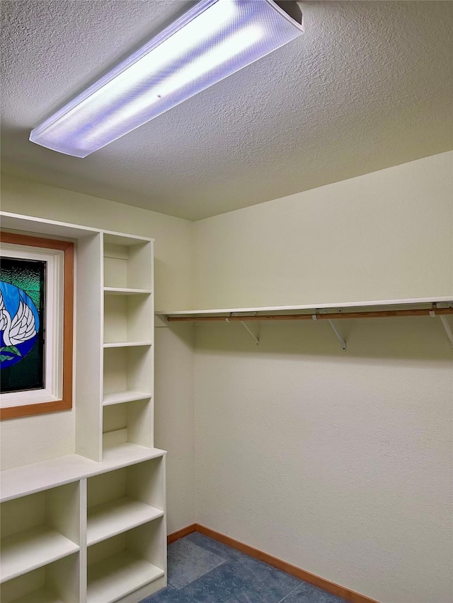 spacious closet with carpet floors