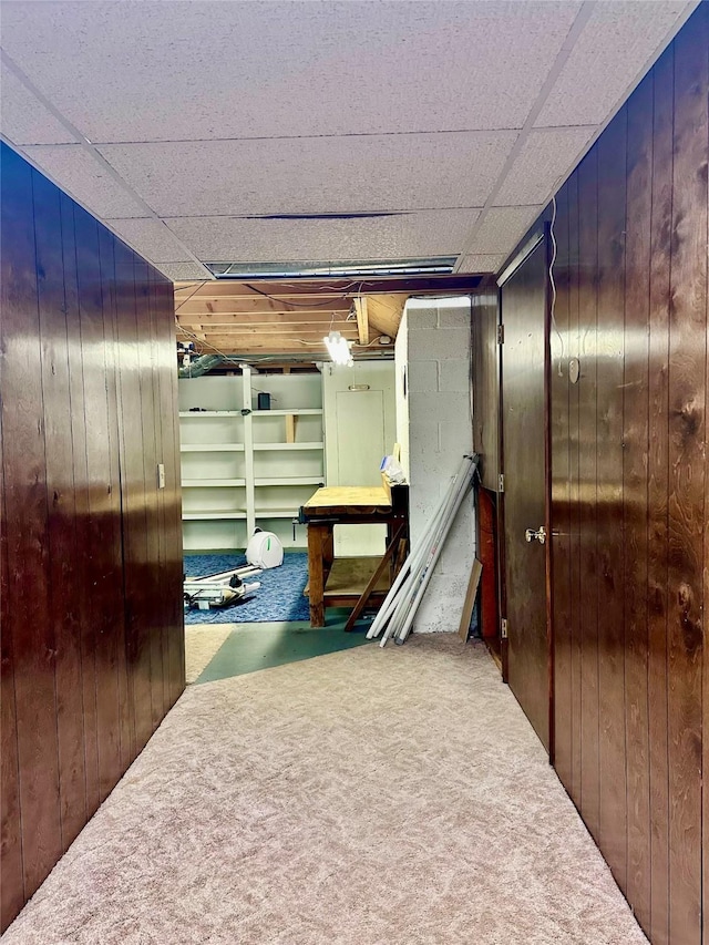 interior space featuring carpet floors and wooden walls