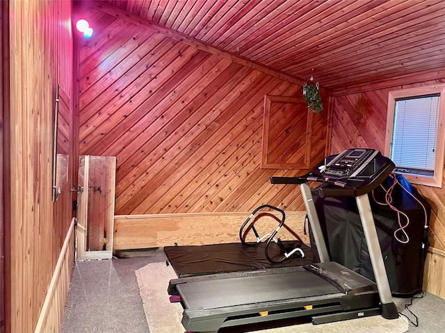 workout area with carpet floors and wood walls