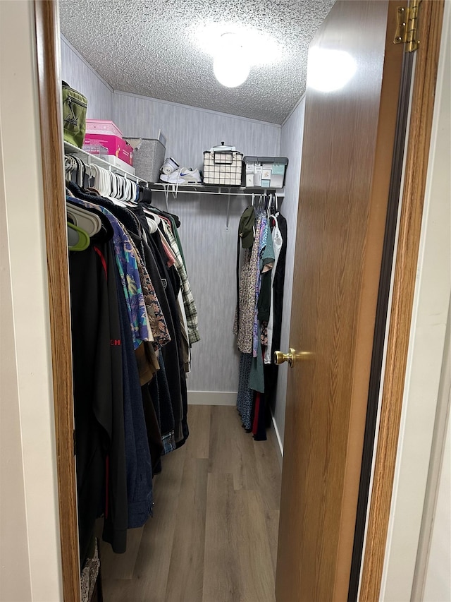 walk in closet with wood-type flooring