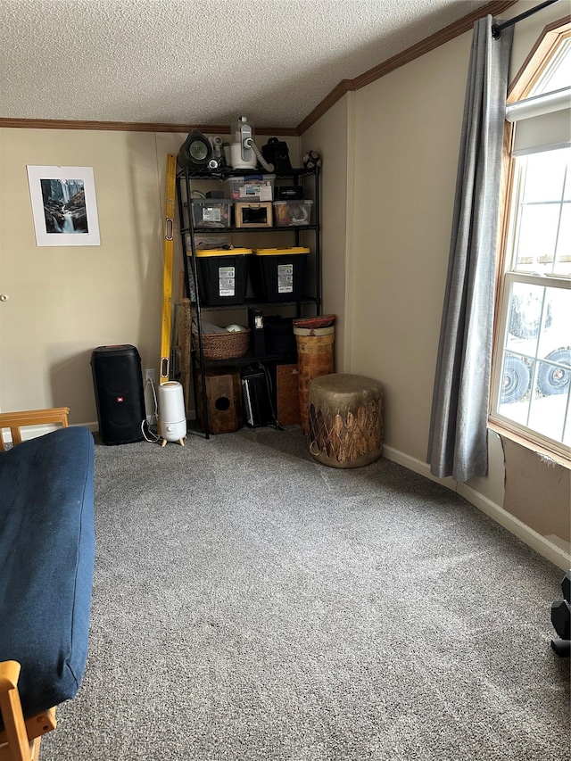 carpeted office featuring crown molding, a textured ceiling, and a healthy amount of sunlight