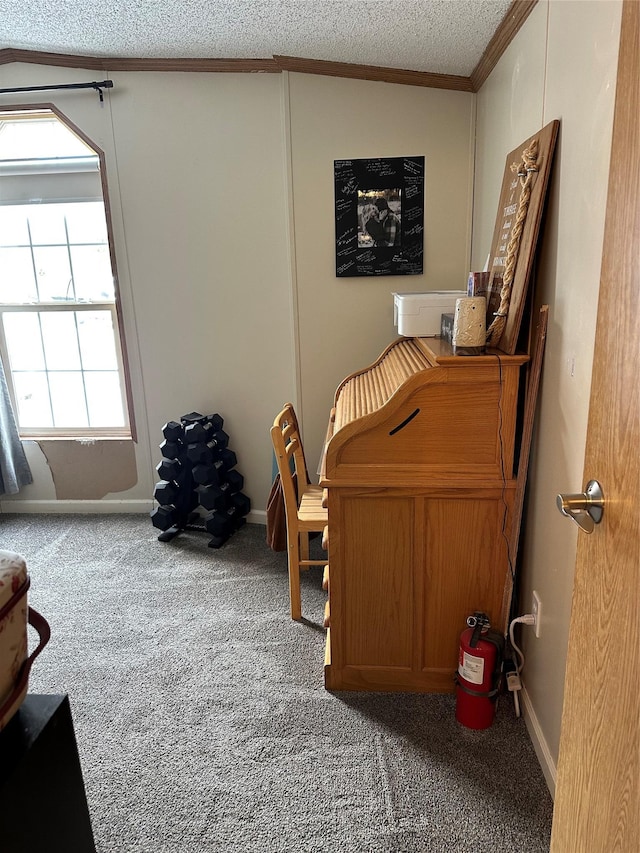 carpeted home office with crown molding and a textured ceiling