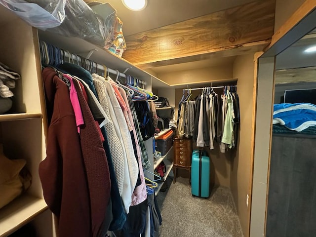 walk in closet with carpet floors