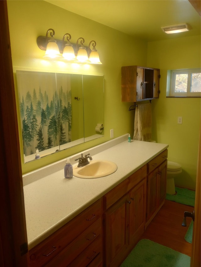 bathroom with vanity and toilet