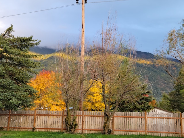 view of yard featuring a mountain view