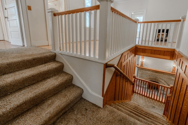 stairway with carpet flooring