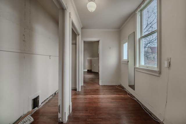 hallway featuring ornamental molding and dark hardwood / wood-style flooring