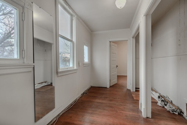 corridor with wood-type flooring and ornamental molding