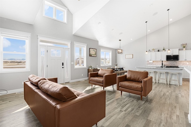 living room featuring high vaulted ceiling and light hardwood / wood-style flooring