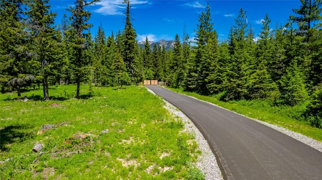 3900 Foothill Rd, Kalispell, MT 59901 - view of road featuring a mountain view and a view of trees