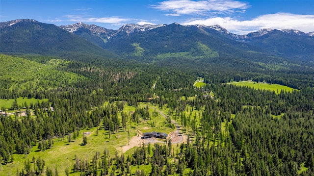3900 Foothill Rd, Kalispell, MT 59901 - view of mountain backdrop featuring a heavily wooded area