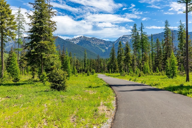 3900 Foothill Rd, Kalispell, MT 59901 - view of mountain background featuring a forest