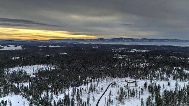 snowy aerial view with a mountain view