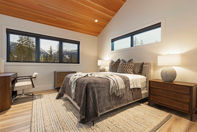 3900 Foothill Rd, Kalispell, MT 59901 - bedroom featuring lofted ceiling, light wood-style floors, wooden ceiling, and baseboards