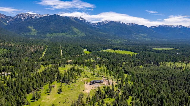 3900 Foothill Rd, Kalispell, MT 59901 - view of mountain backdrop with a forest