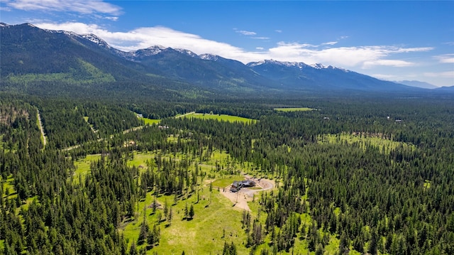 3900 Foothill Rd, Kalispell, MT 59901 - aerial view of a forest and a mountainous background