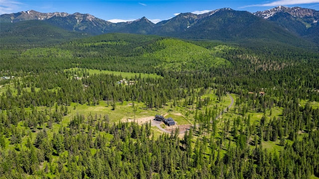 3900 Foothill Rd, Kalispell, MT 59901 - mountain view with a forest