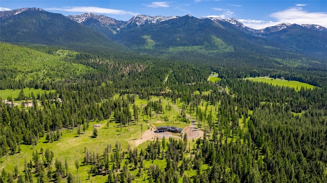 3900 Foothill Rd, Kalispell, MT 59901 - mountain view with a forest