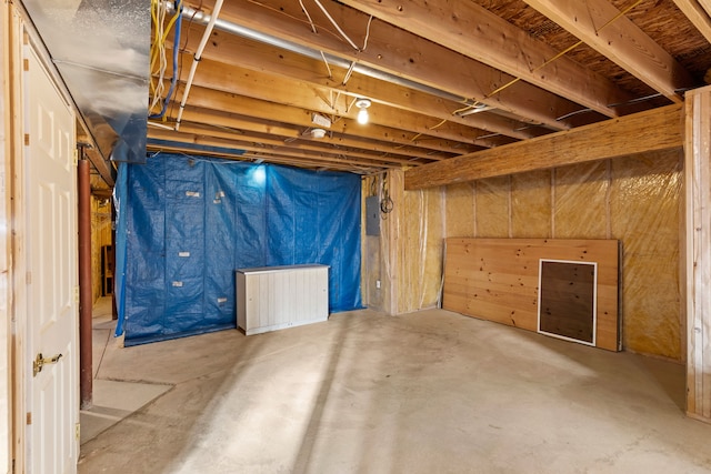 basement with electric panel