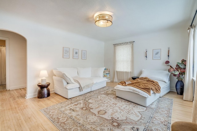 living room with wood-type flooring