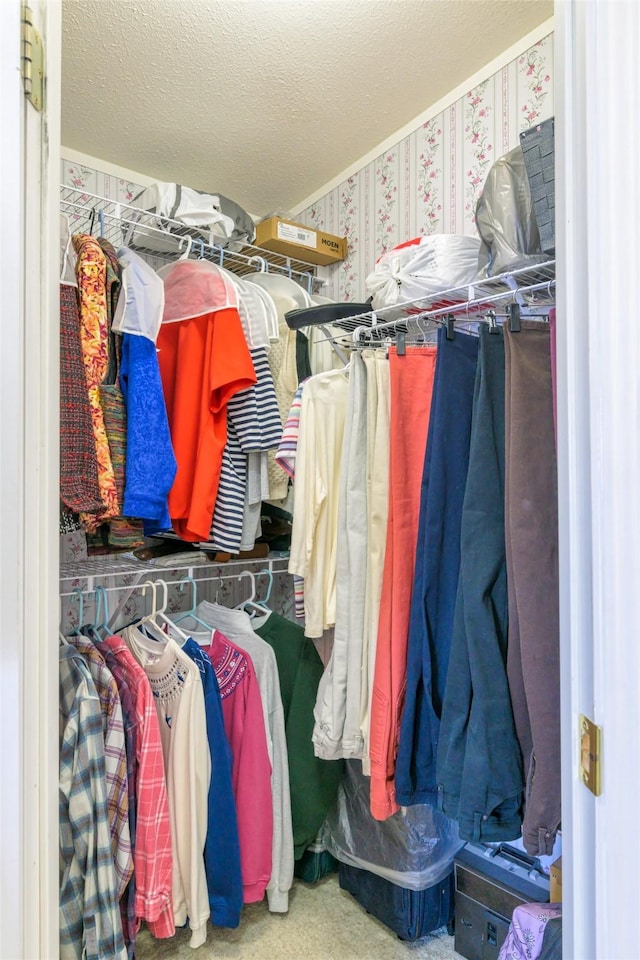 walk in closet with carpet floors