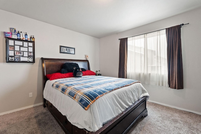 105 Lupine Dr, Kalispell, MT 59901 - bedroom with carpet flooring