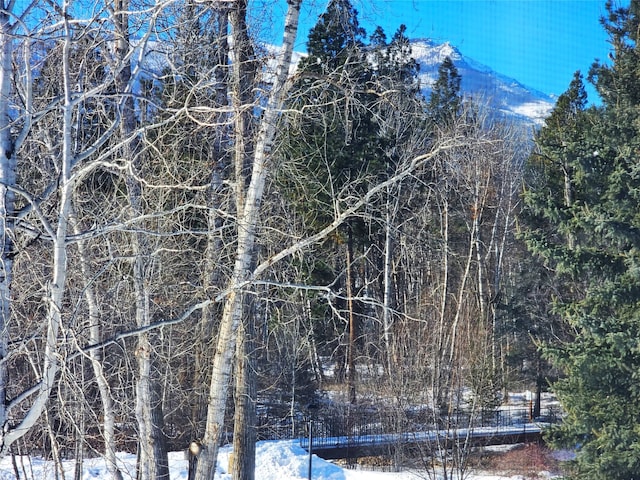 snowy view featuring a mountain view