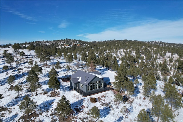 view of snowy aerial view