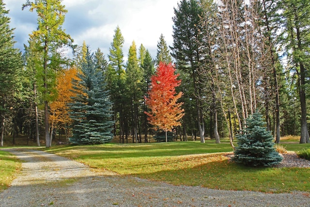 view of community with a lawn