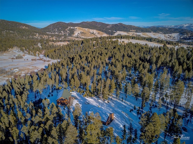 property view of mountains