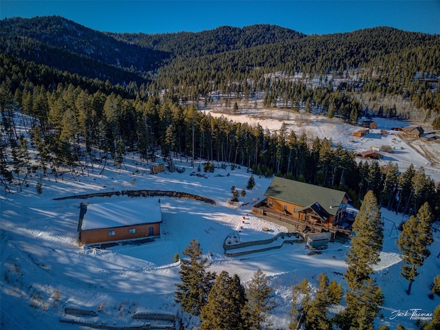 snowy aerial view with a mountain view