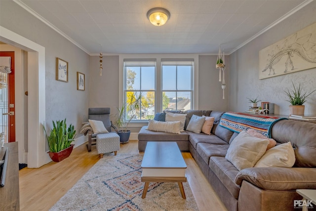 living room with crown molding and light wood-type flooring