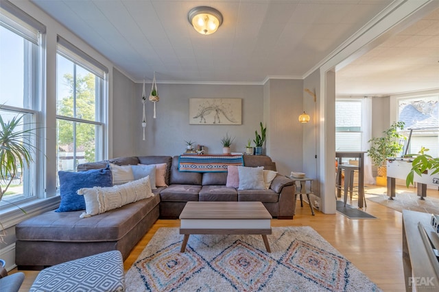 living room with ornamental molding and light wood-type flooring