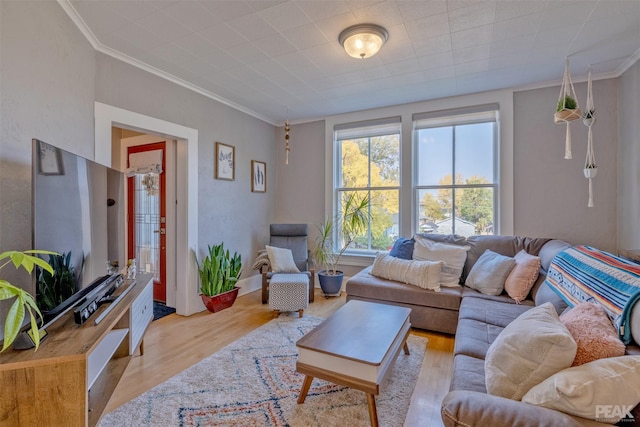 living room with ornamental molding and light wood-type flooring