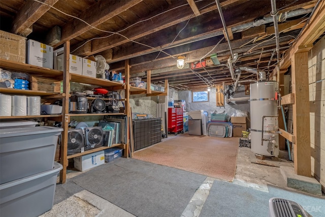 storage room with water heater