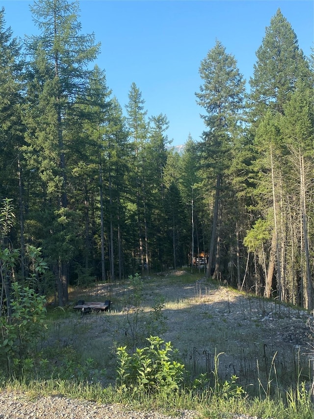 300 S Many Lakes Dr, Kalispell MT, 59901 land for sale