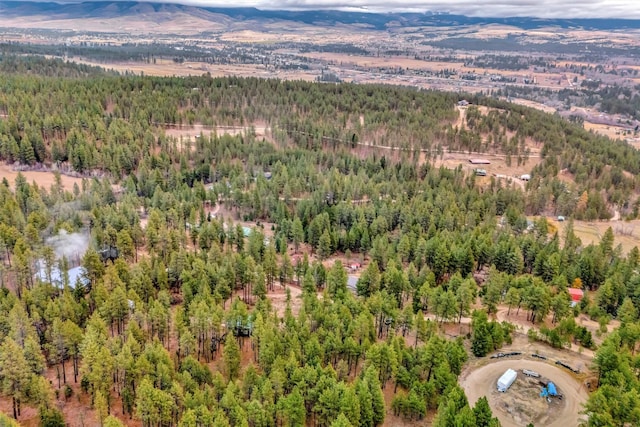 drone / aerial view with a mountain view