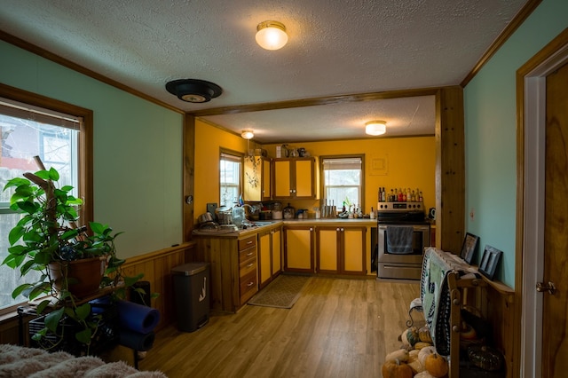 kitchen featuring stainless steel range with electric stovetop, crown molding, light hardwood / wood-style floors, and a textured ceiling