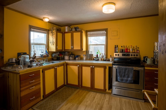 kitchen with sink, stainless steel range with electric cooktop, light hardwood / wood-style floors, and a healthy amount of sunlight