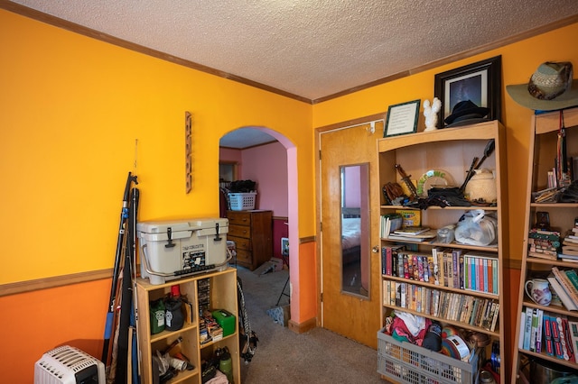 interior space featuring crown molding and a textured ceiling